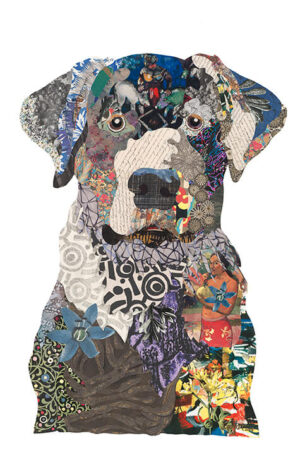 Image link Black Lab III