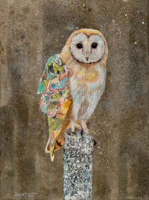 Image link Barn Owl #1