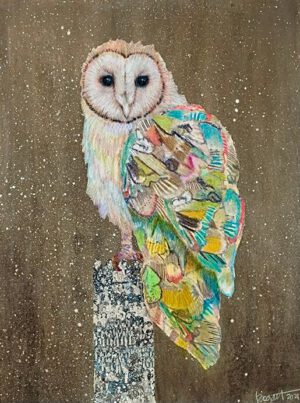 Image link Barn Owl #2