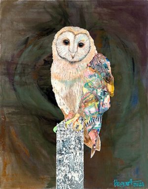 Image link Barn Owl #5
