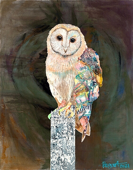 Image of Barn Owl #5
