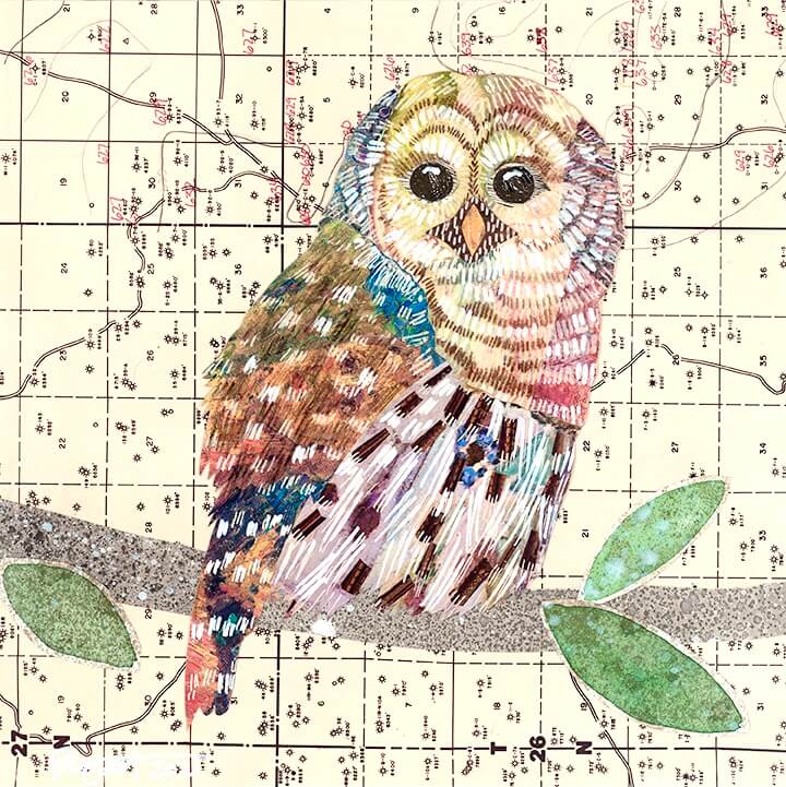 Image of Owl series