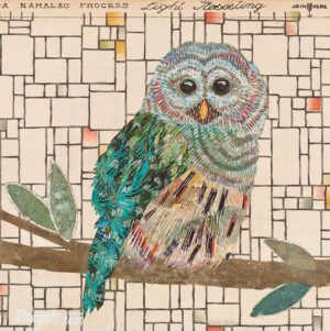 Image link Barred Owl #2