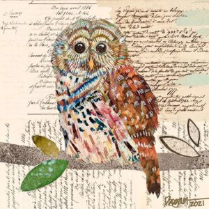 Image link Barred Owl #5