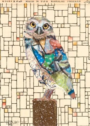 Image link Screech Owl #2