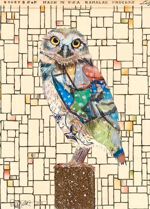 Image of Screech Owl #2