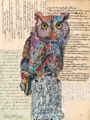 Image link Screech Owl #5