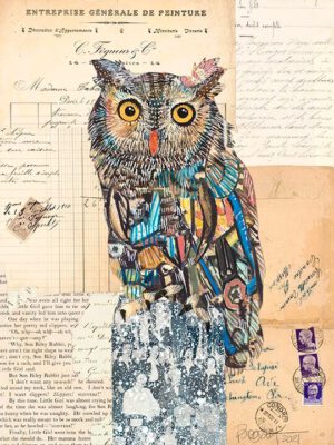 Image link Screech Owl #6