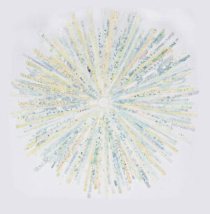 Image link Beachburst I