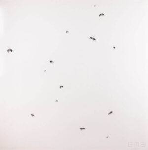 Image link Swarm XVIII