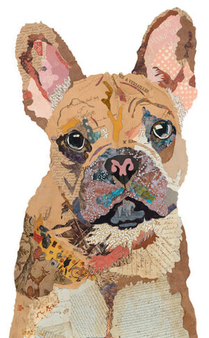 Image link Frenchie