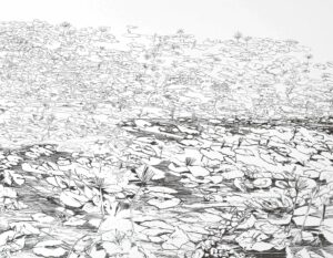 Image link Sun Shadow Sun