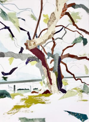 Image link Eminent Domain IV (Grosse Tete Oak), 2019