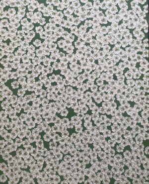 Image link Lucky Day