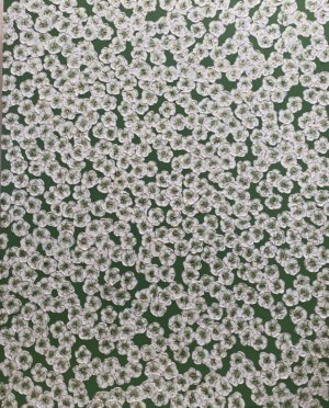 Image link Lucky You