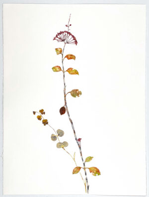 Image link Leaning into Autumn 2020