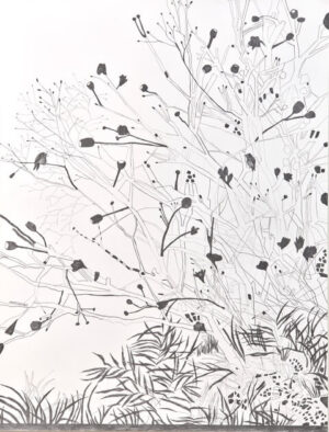 Image link Conversations