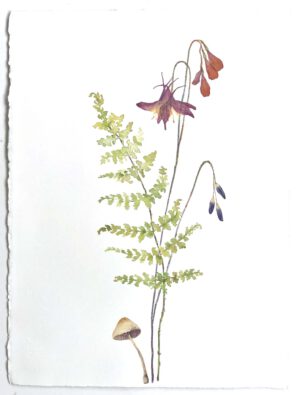 Image link Moisture in the Shade