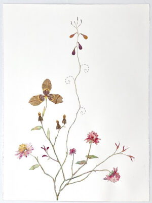 Image link Raspberry Pom Poms 2020