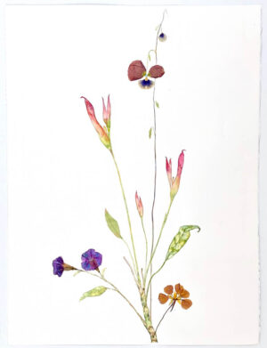 Image link Still Blooming 2020