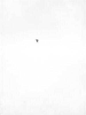 Image link Untitled (Bronc Rider) XV