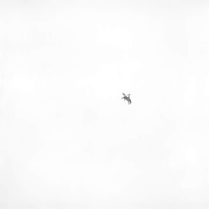 Image link Untitled (Bronc Rider) XVI