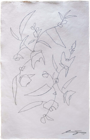 Image link Mamba Roller