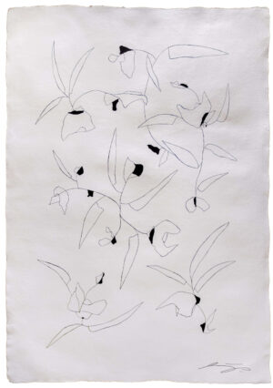 Image link Raising Flags