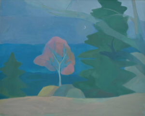 Image link Bright Night in the Hills