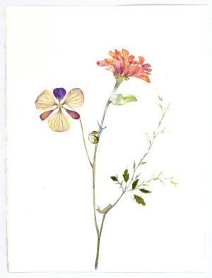 Image link Soft and Slow 2021