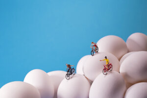 Photo of Egg Bikes artwork