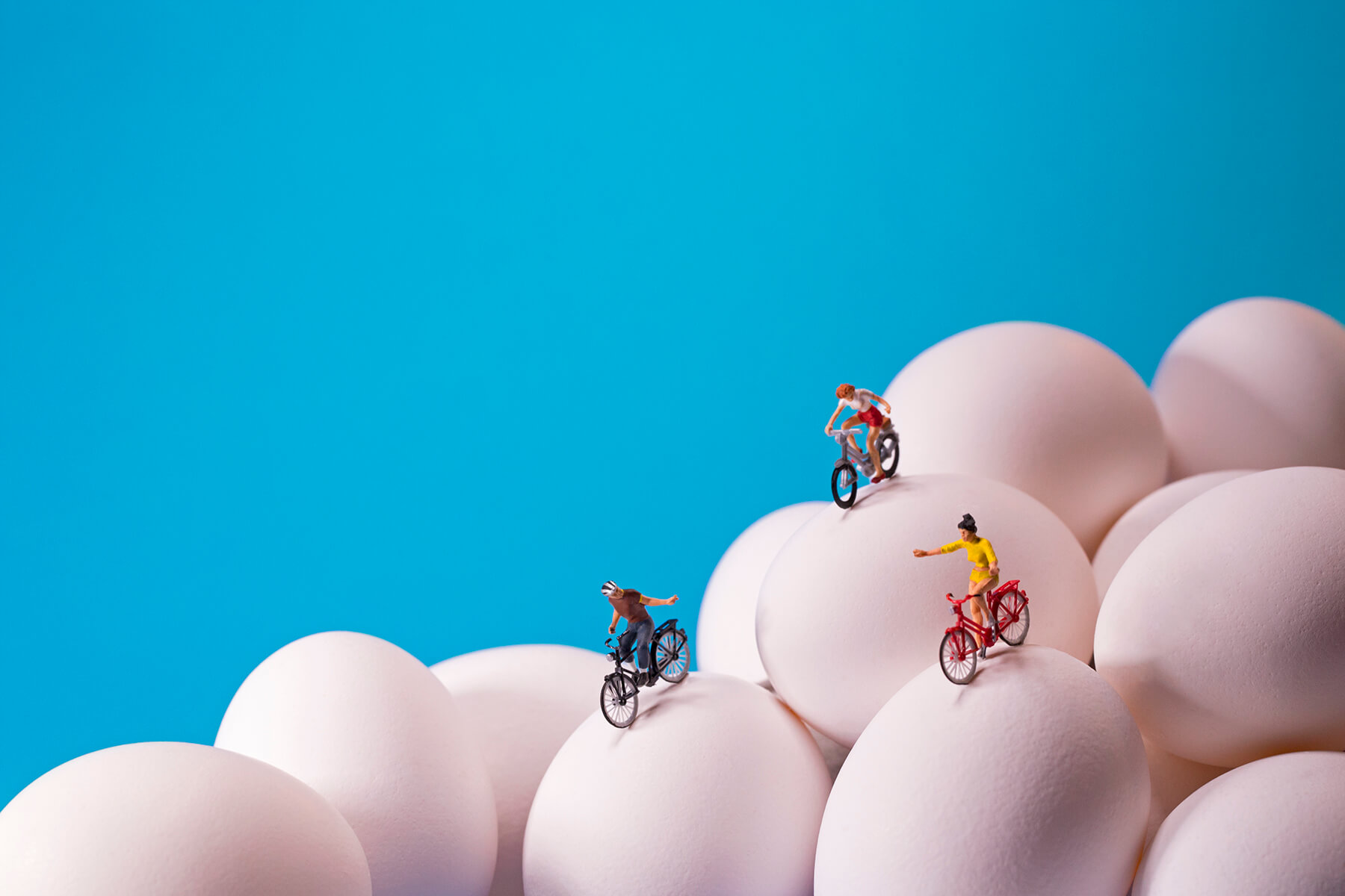 Image of Egg Bikes