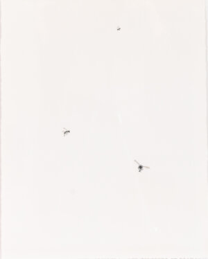 Image link Bee Swarm IX