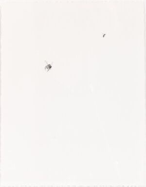 Photo of Bee Swarm VII artwork