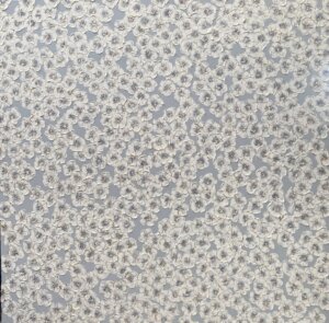 Image link Pretty Petals