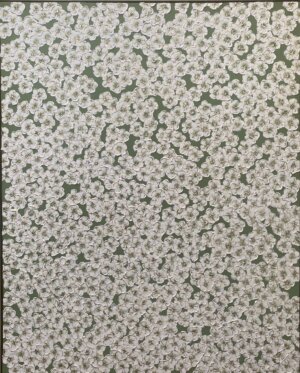 Image link Who’s the Lucky Lady?