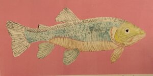 Photo of Fish artwork