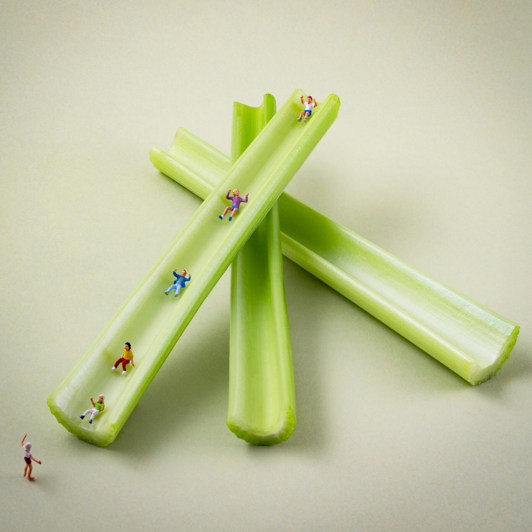 Image of Celery Slide