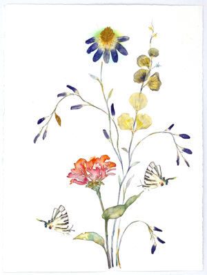 Image link Zinnia and Two Zebras 2022