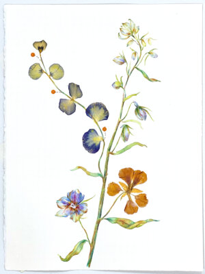 Image link Blue and Gold, 2022