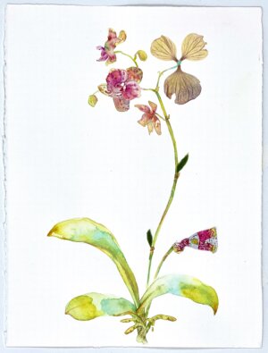 Photo of Sweet Orchids, 2022 artwork