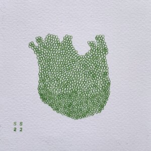 Image link Shall Find