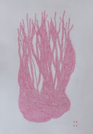 Image link Pink Flame