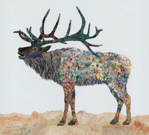 Image link Vincent (The Elk)