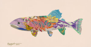 Image link Rainbow Trout 5 “Mirabel”