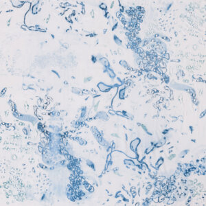 Image link to Megan Adams Brooks's artworks