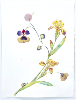 Photo of Leaning Iris and Pansy artwork