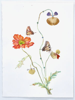 Photo of Monarchs and Poppies artwork