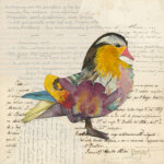 mixed media collage of a colorful bird that's yellow, pink, brown, purple, and blue with a white background that has hand written letters on it