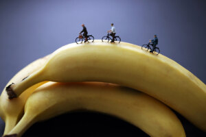 Photo of Banana Riders artwork